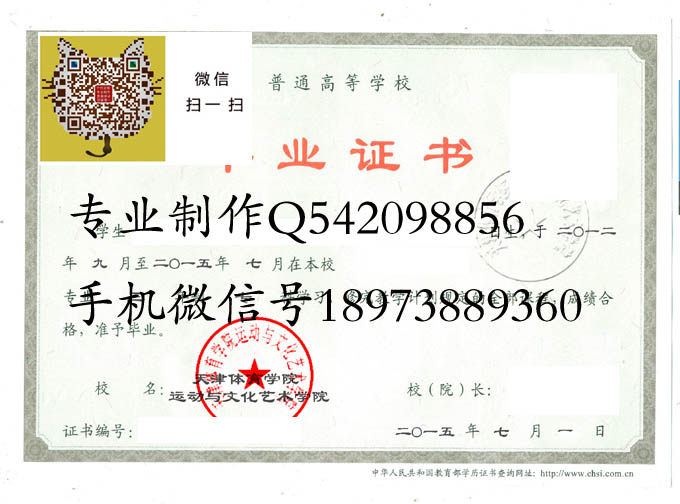 天津体育学院运动与文化艺术学院2015 拷贝