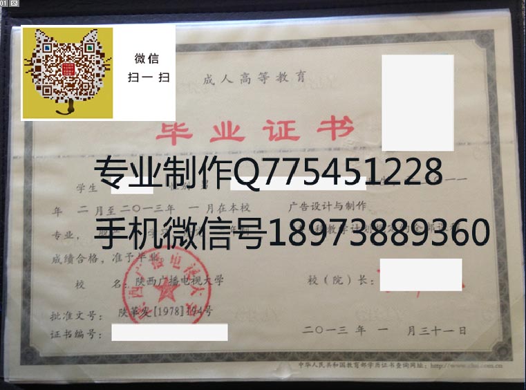 陕西广播电视大学2013成人