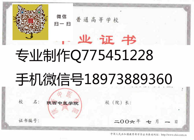 陕西中医学院 拷贝