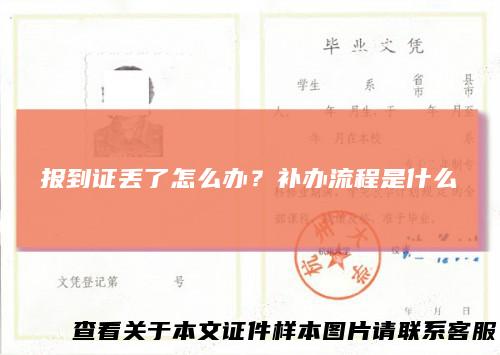 报到证丢了怎么办?补办流程是什么