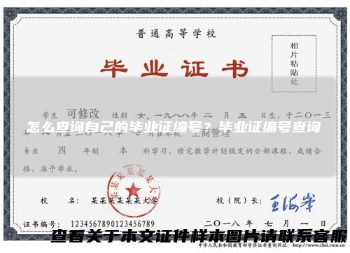 怎么查询自己的毕业证编号?毕业证编号查询