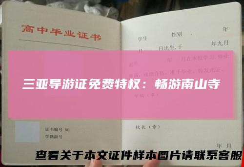 三亚导游证免费特权：畅游南山寺
