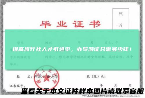 提高旅行社人才引进率，办导游证只需多少钱！