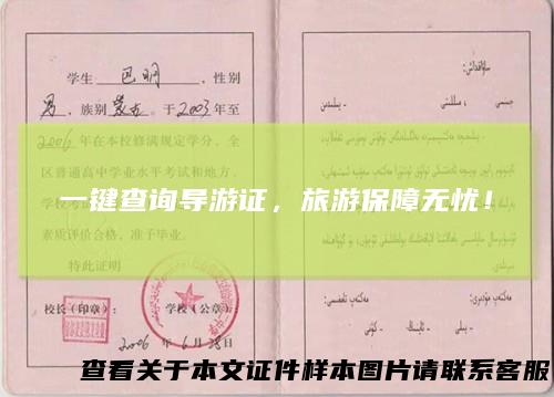 一键查询导游证,旅游保障无忧!