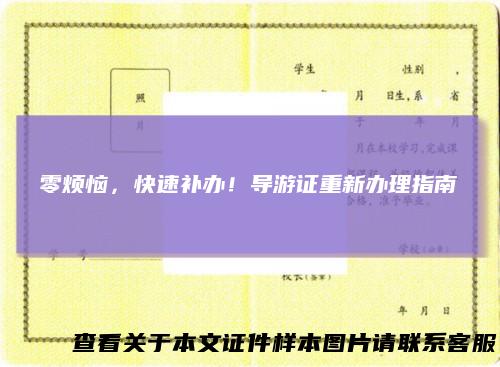 零烦恼，快速补办！导游证重新办理指南