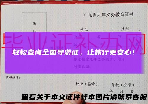 轻松查询全国导游证，让旅行更安心！