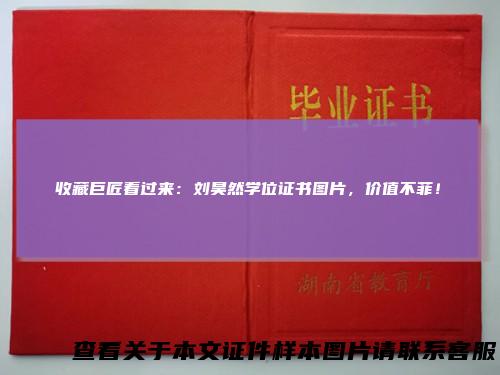 收藏巨匠看过来：刘昊然学位证书图片，价值不菲！