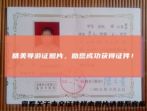 精美导游证照片，助您成功获得证件！