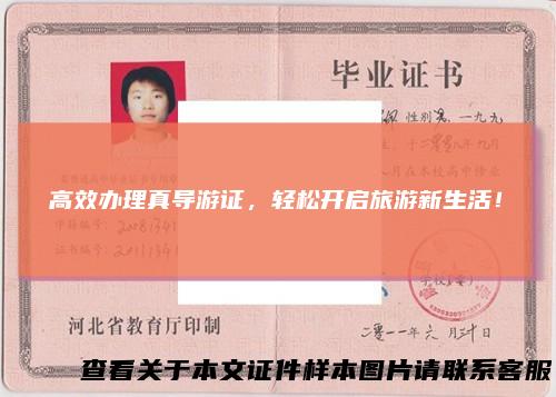高效办理真导游证，轻松开启旅游新生活！