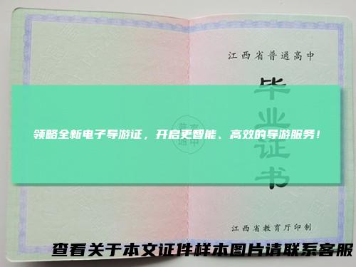 领略全新电子导游证，开启更智能、高效的导游服务！