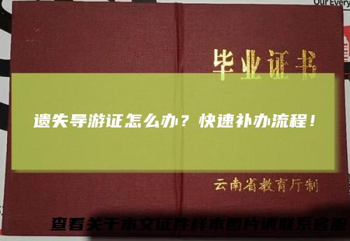 遗失导游证怎么办？快速补办流程！
