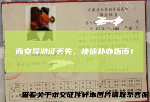 西安导游证丢失，快速补办指南！