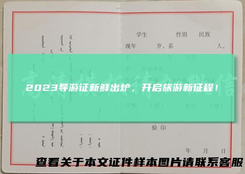 2023导游证新鲜出炉，开启旅游新征程！