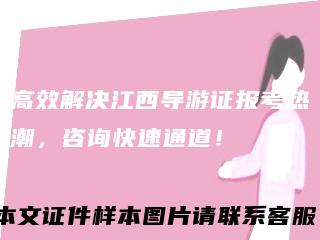 高效解决江西导游证报考热潮，咨询快速通道！