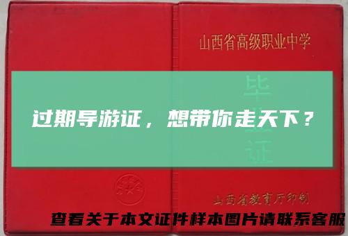 过期导游证,想带你走天下?