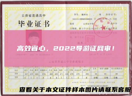 高效省心，2022导游证网审！
