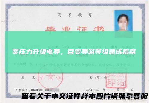 零压力升级电导，百变导游等级速成指南
