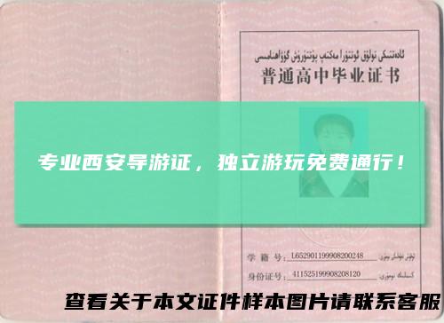 专业西安导游证,独立游玩免费通行!