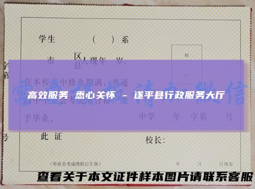 高效服务悉心关怀-遂平县行政服务大厅