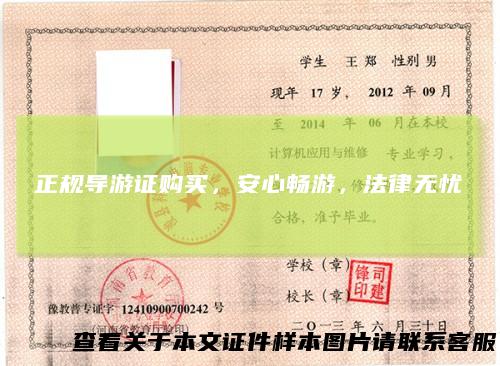 正规导游证购买，安心畅游，法律无忧