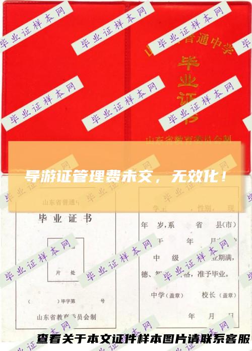 导游证管理费未交，无效化！