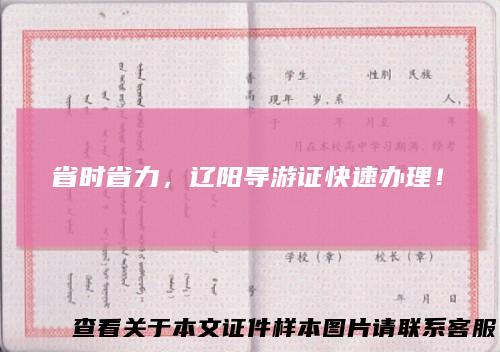 省时省力，辽阳导游证快速办理！