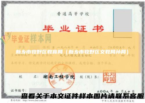 新乡市牧野区教育局（新乡市牧野区文教局孙局）