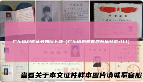 广东省职称证书如何下载（广东省职称管理系统登录入口）