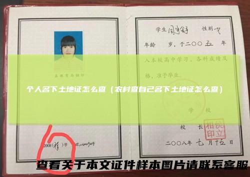 个人名下土地证怎么查（农村查自己名下土地证怎么查）
