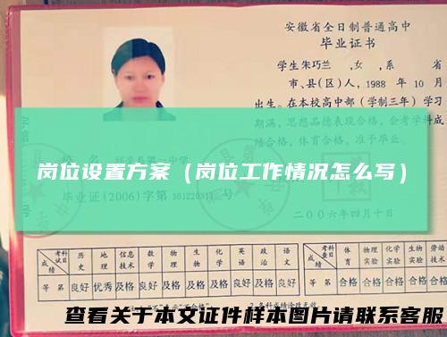 岗位设置方案(岗位工作情况怎么写)