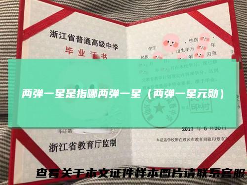 两弹一星是指哪两弹一星（两弹一星元勋）