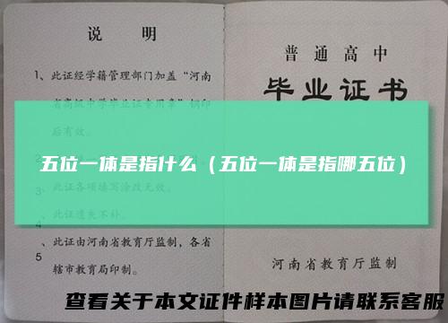 五位一体是指什么（五位一体是指哪五位）