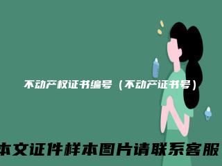 不动产权证书编号(不动产证书号)