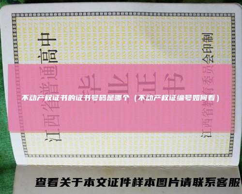 不动产权证书的证书号码是哪个（不动产权证编号如何看）