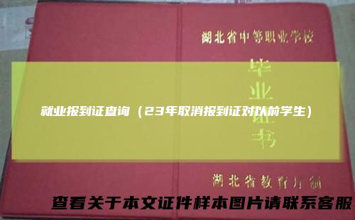 就业报到证查询(23年取消报到证对以前学生)
