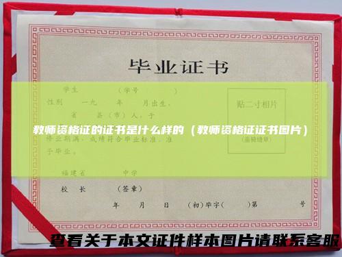 教师资格证的证书是什么样的（教师资格证证书图片）