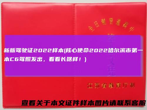 新版驾驶证2022样本(核心使命2022哈尔滨市第一本C6驾照发出，看看长啥样！)
