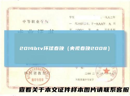 2014btv环球春晚（央视春晚2008）