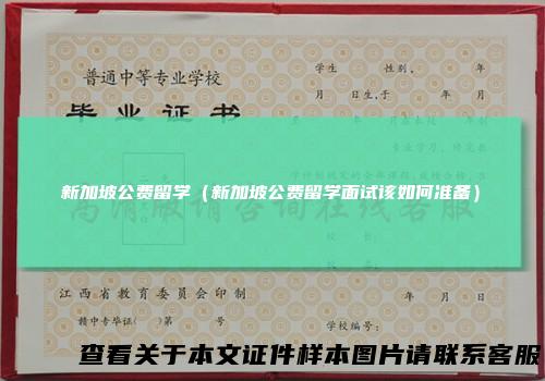 新加坡公费留学（新加坡公费留学面试该如何准备）