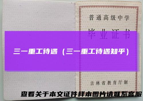 三一重工待遇（三一重工待遇知乎）