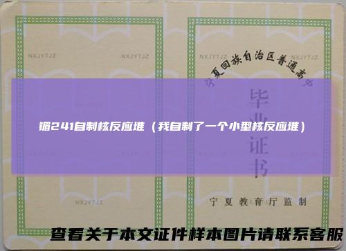 镅241自制核反应堆(我自制了一个小型核反应堆)