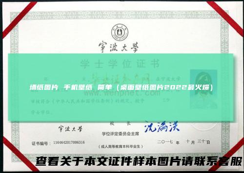 墙纸图片 手机壁纸 简单（桌面壁纸图片2022最火爆）