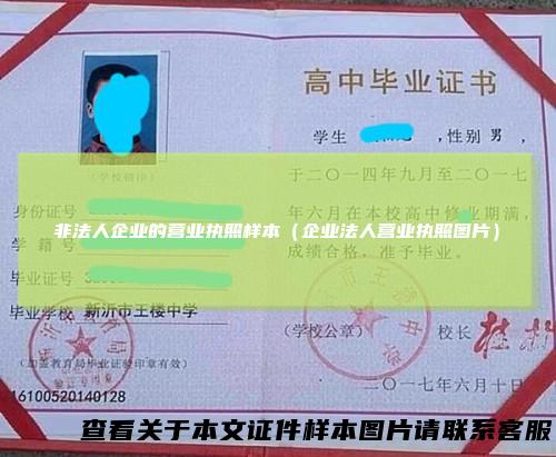 非法人企业的营业执照样本（企业法人营业执照图片）