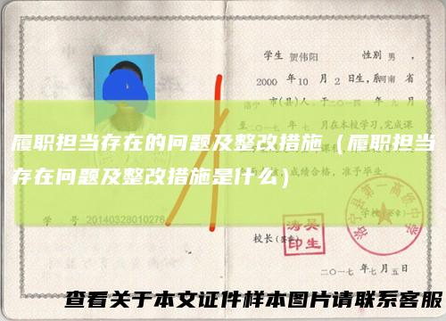 履职担当存在的问题及整改措施（履职担当存在问题及整改措施是什么）