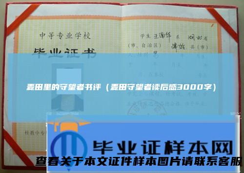 麦田里的守望者书评（麦田守望者读后感3000字）