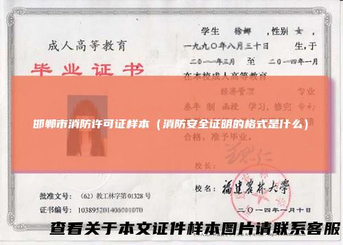 邯郸市消防许可证样本(消防安全证明的格式是什么)