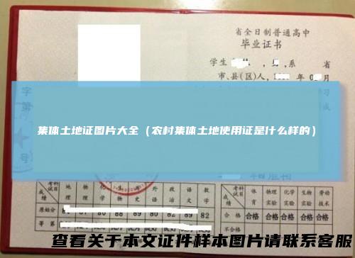 集体土地证图片大全(农村集体土地使用证是什么样的)