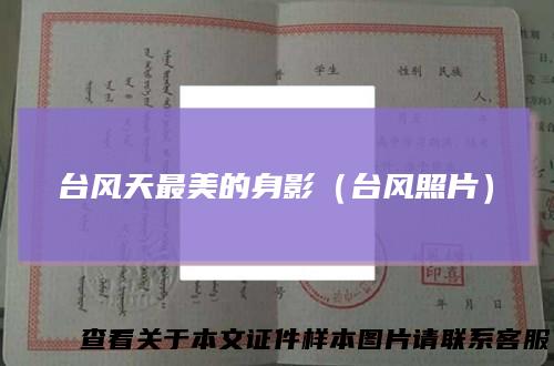 台风天最美的身影(台风照片)