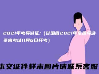 2021年考导游证;（甘肃省2021年全国导游资格考试11月6日开考）