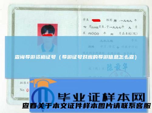 查询导游资格证号（导游证号对应的导游信息怎么查）